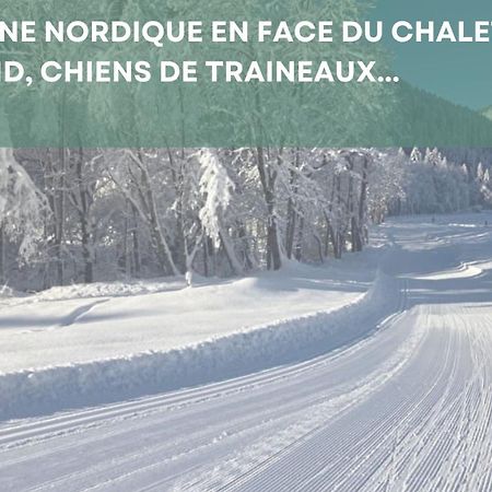 Chalet Les 4 Saisons - Ski, Parking Et Jardin Abondance エクステリア 写真