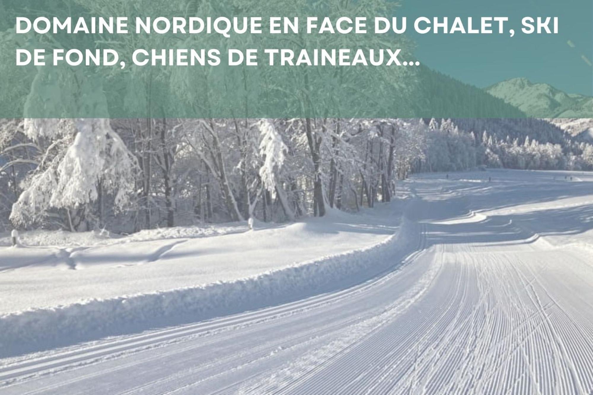 Chalet Les 4 Saisons - Ski, Parking Et Jardin Abondance エクステリア 写真