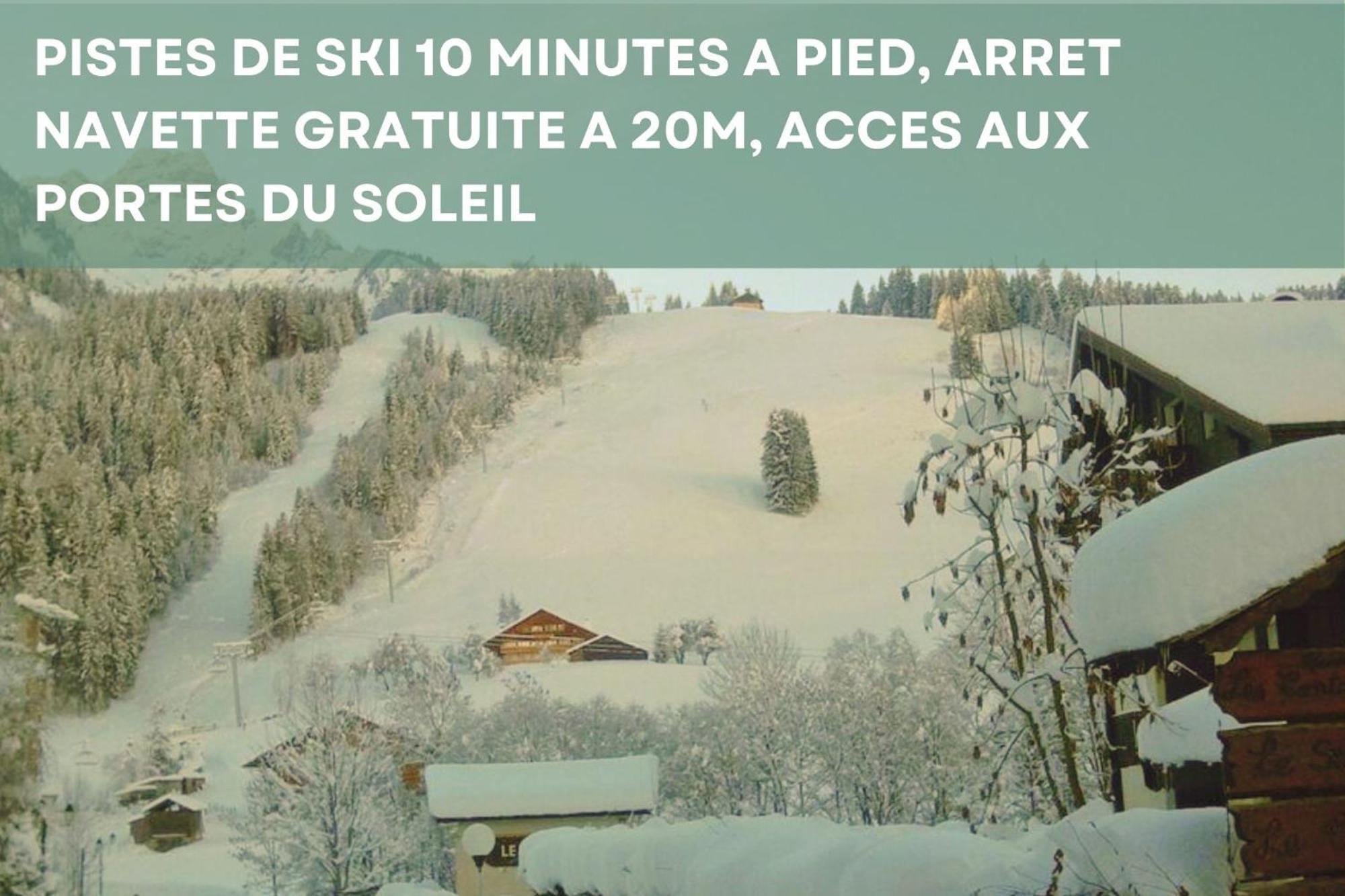 Chalet Les 4 Saisons - Ski, Parking Et Jardin Abondance エクステリア 写真