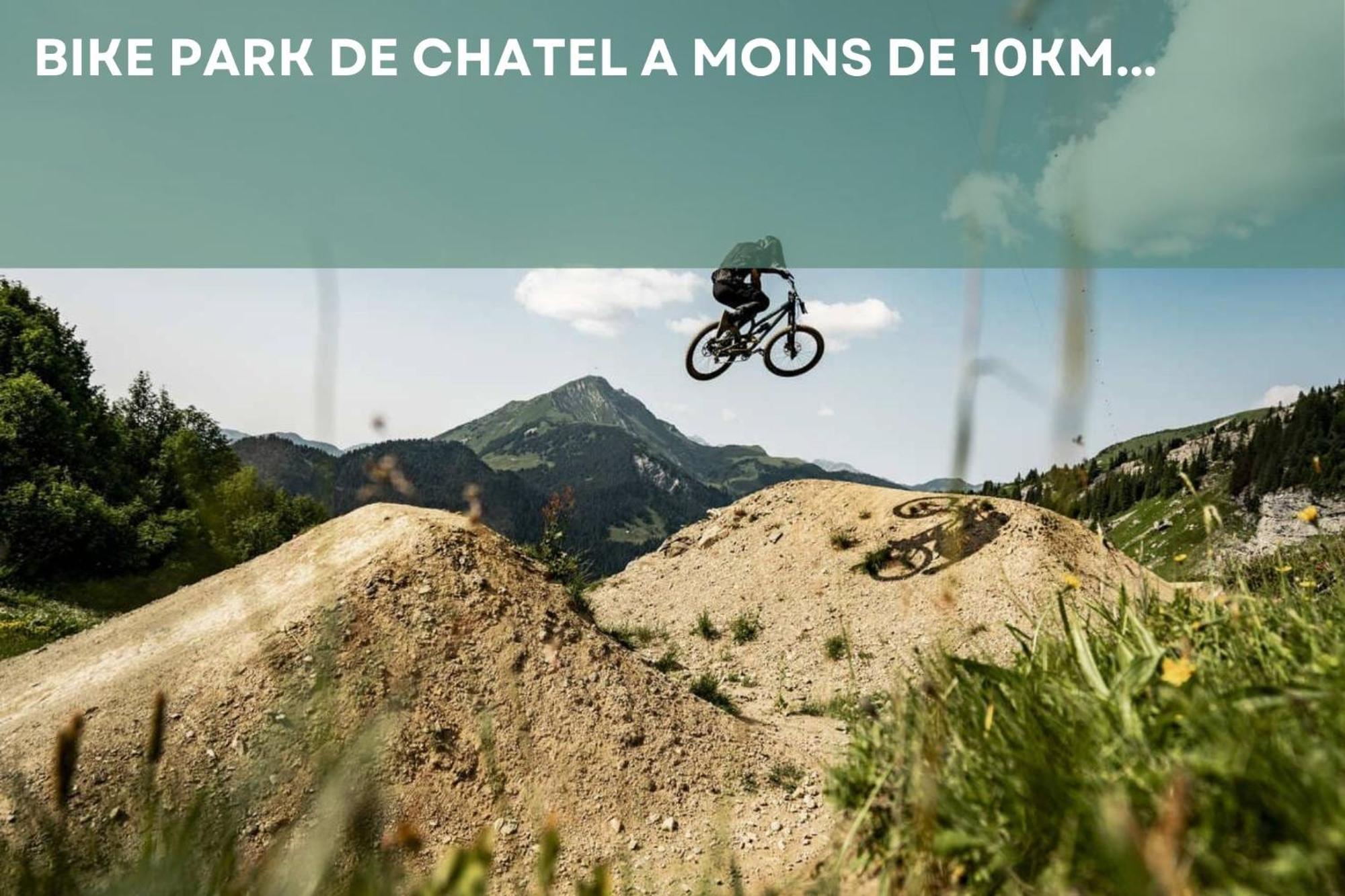 Chalet Les 4 Saisons - Ski, Parking Et Jardin Abondance エクステリア 写真